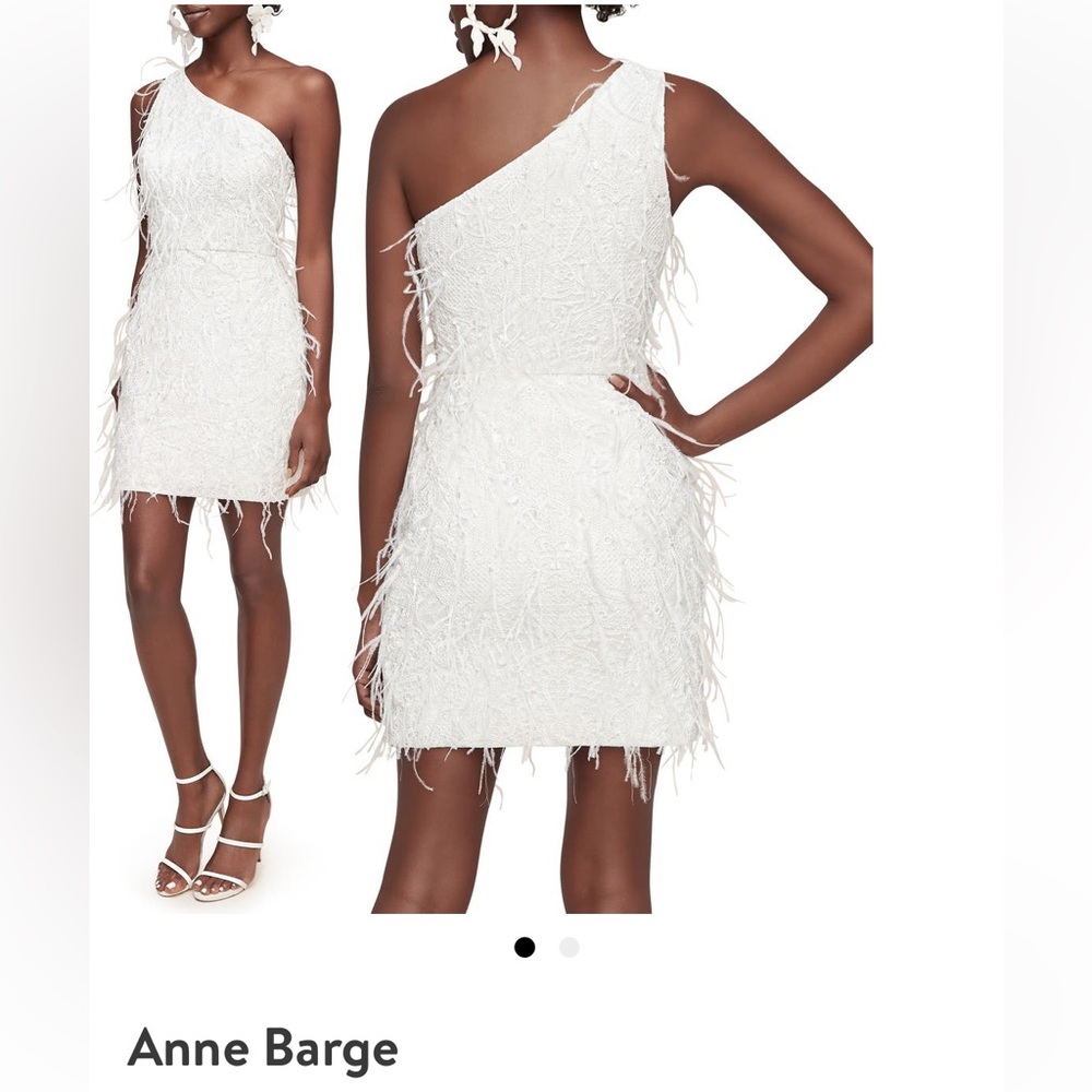 Anne Barge Twinkle in Time Feather Dress
